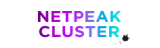 Netpeak Cluster