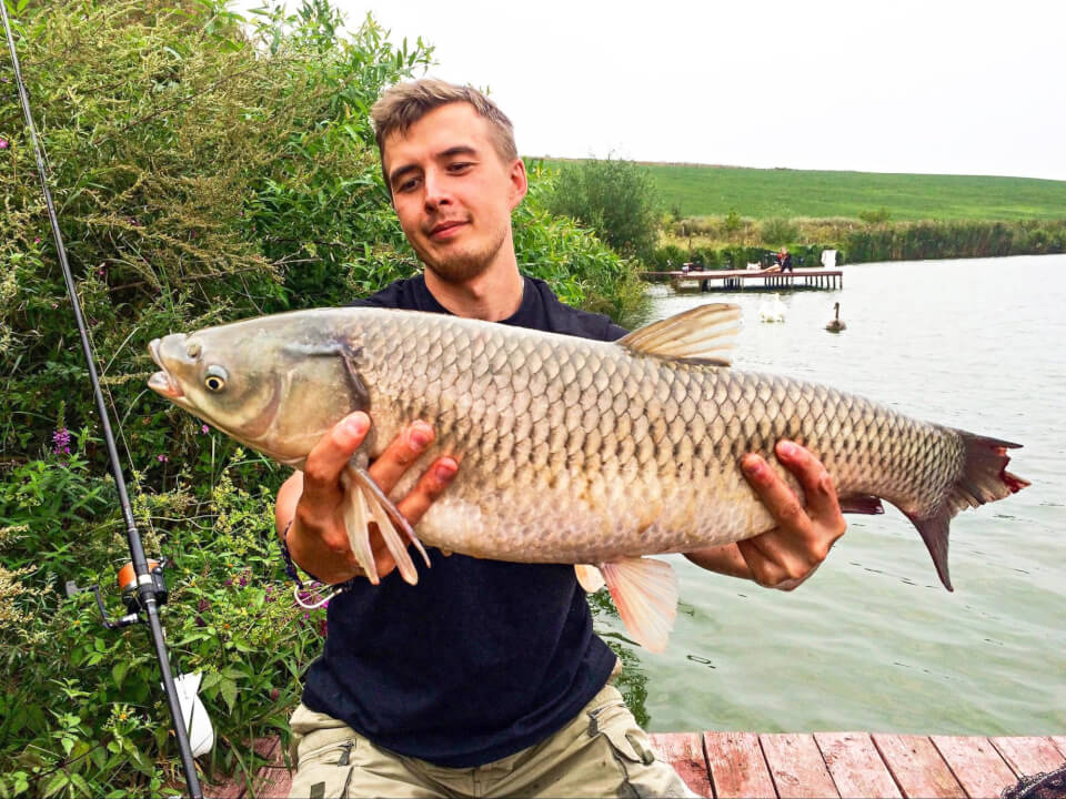 интервью с владельцем интернет-магазина