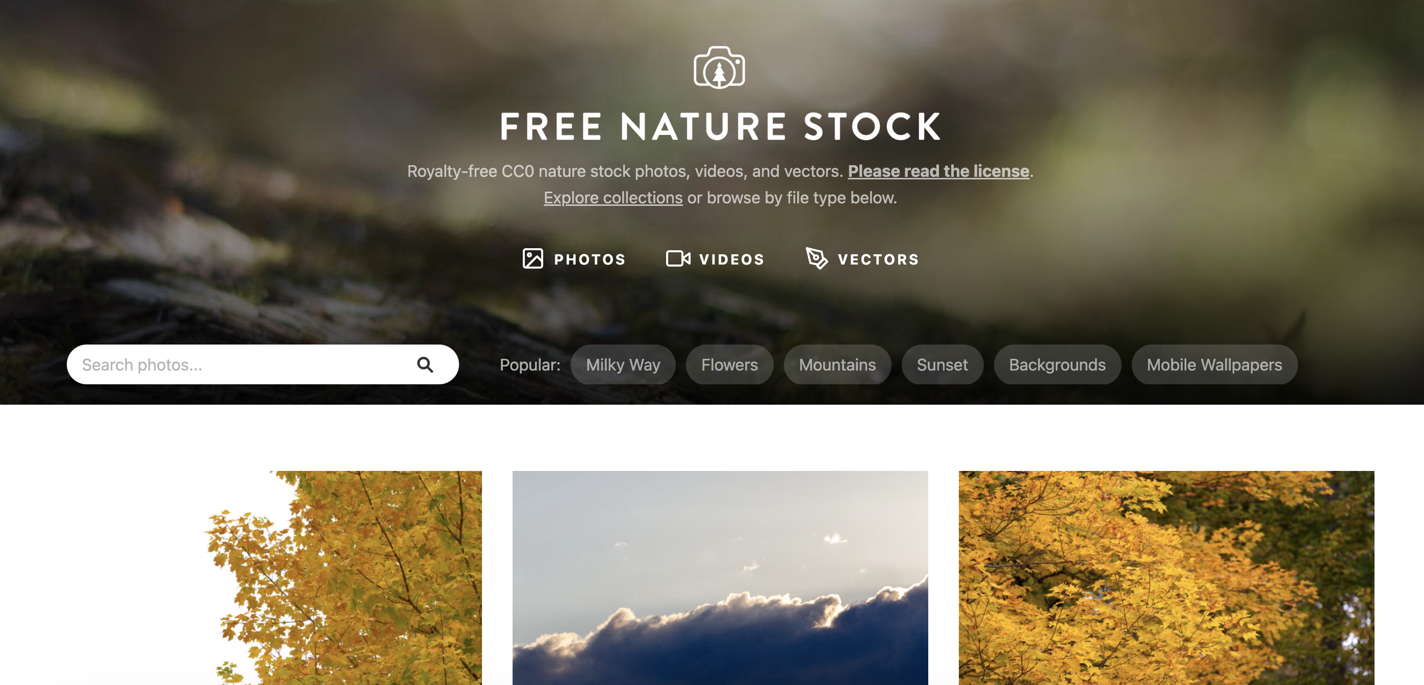 Free Nature Stock 